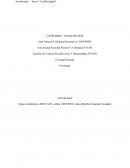 Ecología humana y ecología ambiental