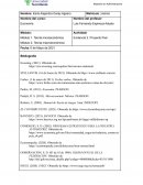 Análisis microeconómico aplicado a la toma de decisiones en la empresa Stellantis