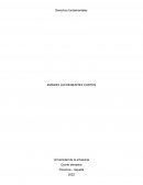 Derechos fundamentales