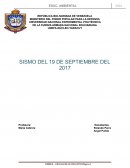 Ensayo Educación Ambiental