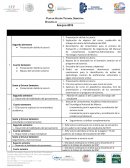 Plan de Acción Tutorial Semestral