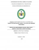 Abastecimiento de agua y alcantarillado. El Distrito de Marias
