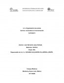 Mapa conceptual sobre conceptos del periodismo