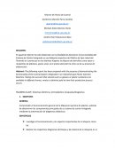 Informe de Teoría de Control