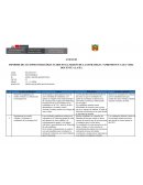 Informe de acciones pedagógicas 2020