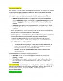 Sistema neuroendocrino