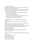 Las transformaciones económicas