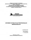 INFORME DE PRÁCTICAS PROFESIONALES EMPRESARIALES