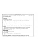 EJEMPLO DE UN PLAN DE ACOMPAÑAMIENTO