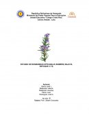 Bases ecológicas de la educación ambiental