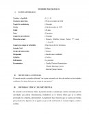 INFORME PSICOLOGICO nerviosismo