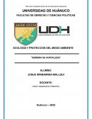 Ecología y protección del medio ambiente. “Siembra de hortalizas”