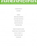 Actividad Evaluativa calculo eje 2