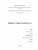 Mitigación y riesgo en protección civil
