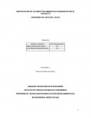 Identifiacion de loa impactos ambientales ruta del cacao