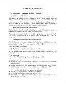 Método biográfico de Juan