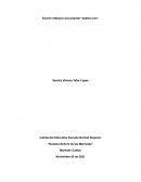 Escrito reflexivo documental “babies love”