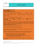 Trabajo colaborativo grupal, elaboración de ensayo