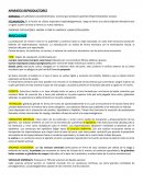 APARATOS REPRODUCTORES