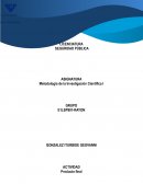 Propuesta de un plan de acción para la mejora de seguridad en el municipio de Metepec Edo Mex