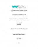 Monografía - Sinusitis