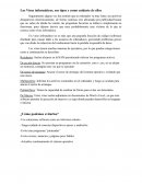 Los Virus informáticos, sus tipos y como cuidarte de ellos