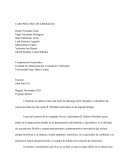 CASO PRACTICO LIDERAZGO