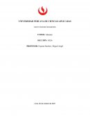 Aduanas dinámica. Exportaciones