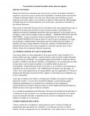 Una mirada al automóvil andino desde todos los ángulos