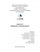 DEBERES DEL CONTADOR PÚBLICO