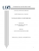 FACTURA ELECTRONICA Y EVASIÓN TRIBUTARIA