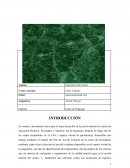 Plan de Acción Tuitorial