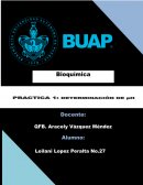 PRÁCTICA No. 1 MEDICIÓN DE pH