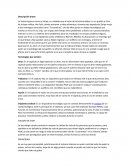 Hombre contra el fuego- Black Mirror