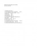 PROPUESTA PEDAGÓGICA DE CENTRO ESCUELA INFANTIL