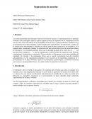 QUIMICA-SEPARACION DE MEZCLAS