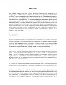 Caso hotel La Ceiba TEC