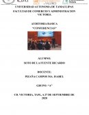 AUDITORIA BASICA “CONFERENCIAS”