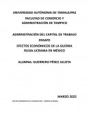 EFECTOS ECONÓMICOS DE LA GUERRA RUSIA-UCRANIA EN MÉXICO