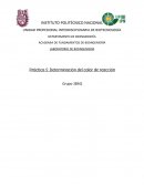 LABORATORIO DE BIOINGENIERÍA