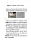 Motores monofásicos y trifásicos