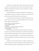 Importando Auto en Iquique