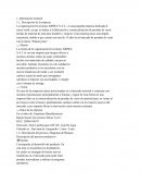 La organización Inversiones ABISEC S.A.C