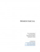 La innovación, concepto e importancia económica