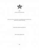 Documento escrito con la formulación de los diferentes estudios (mercado, técnico, organizacional, ambiental y financiero)