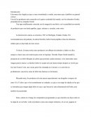 Marketing Mercado meta