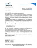 Plan de negocios FIBRA OPTICA C.A