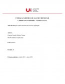 Modelo naturista de Florence Nightingale