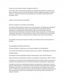 ¿Cuáles son los principales animales en peligro de extinción?