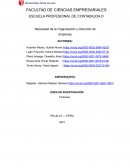 Necesidad de la Organización y Dirección de empresas